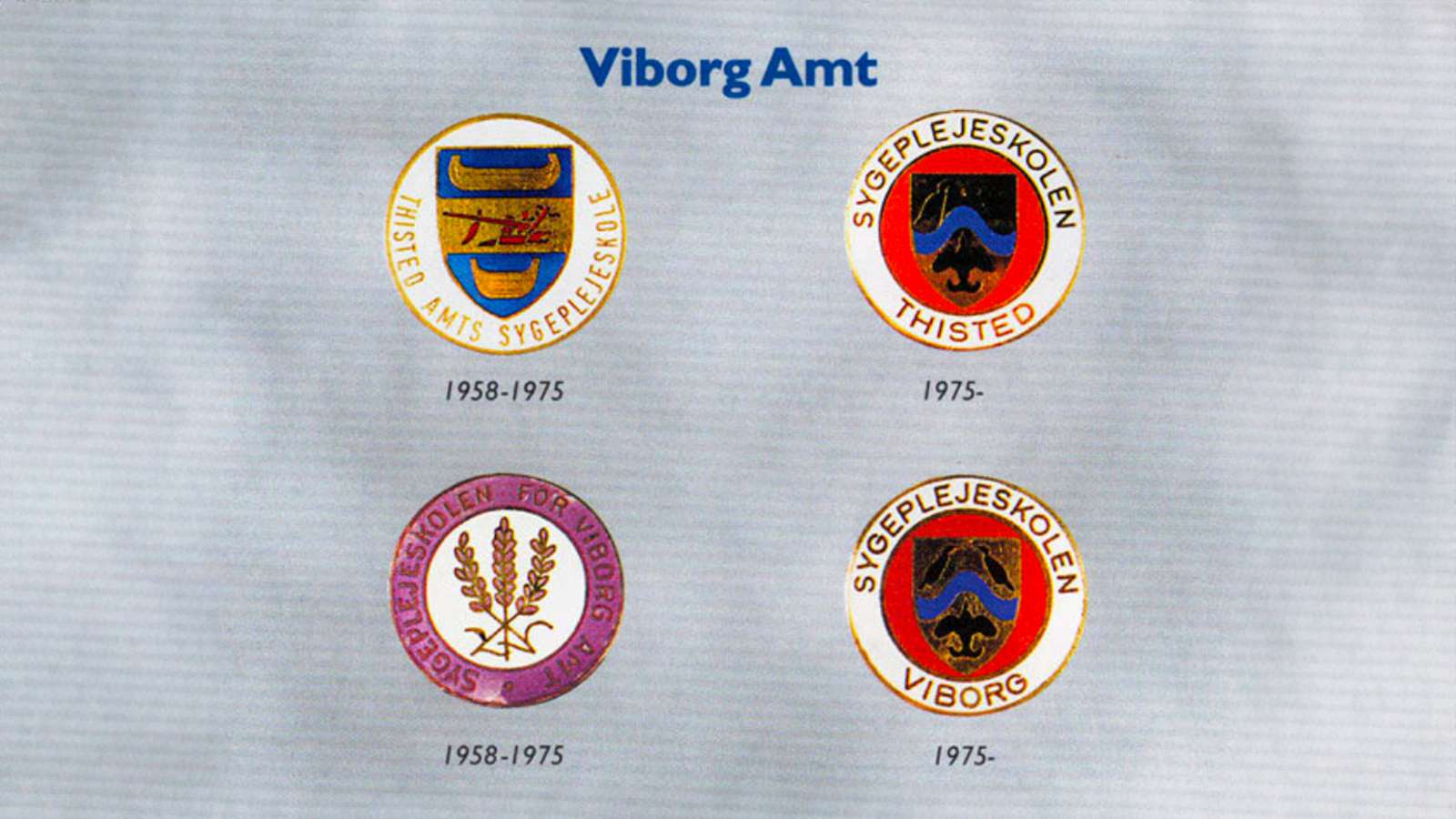 Figur 13A. Viborg Amt