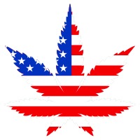 sp2-2018_cannabis-usa