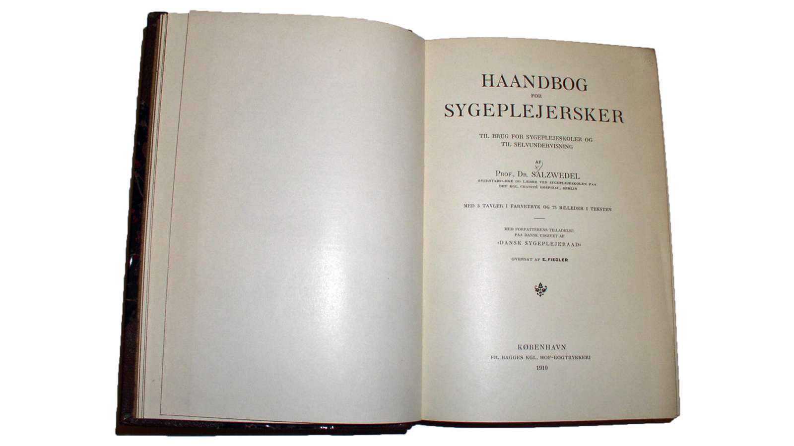 Haandbog for Sygeplejersker af Salzwedel