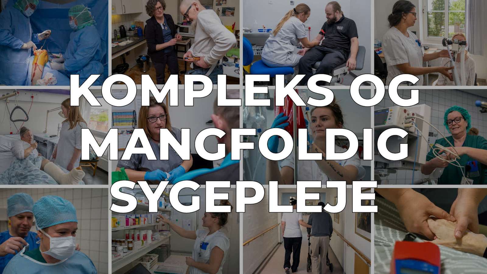 Den komplekse og mangfoldige sygepleje - skilt.png