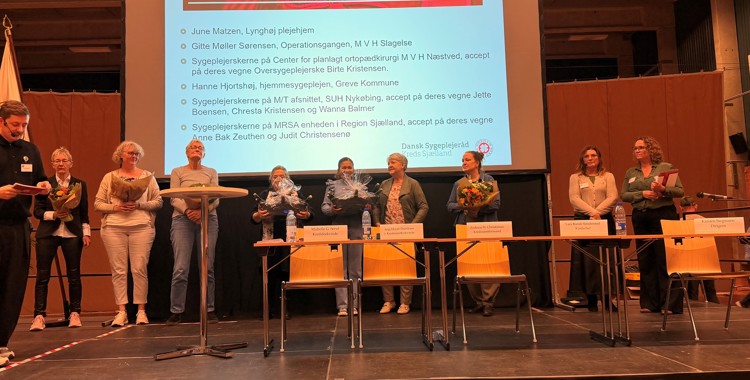 De Nominerede Til Sygeplejerskeprisen 2026