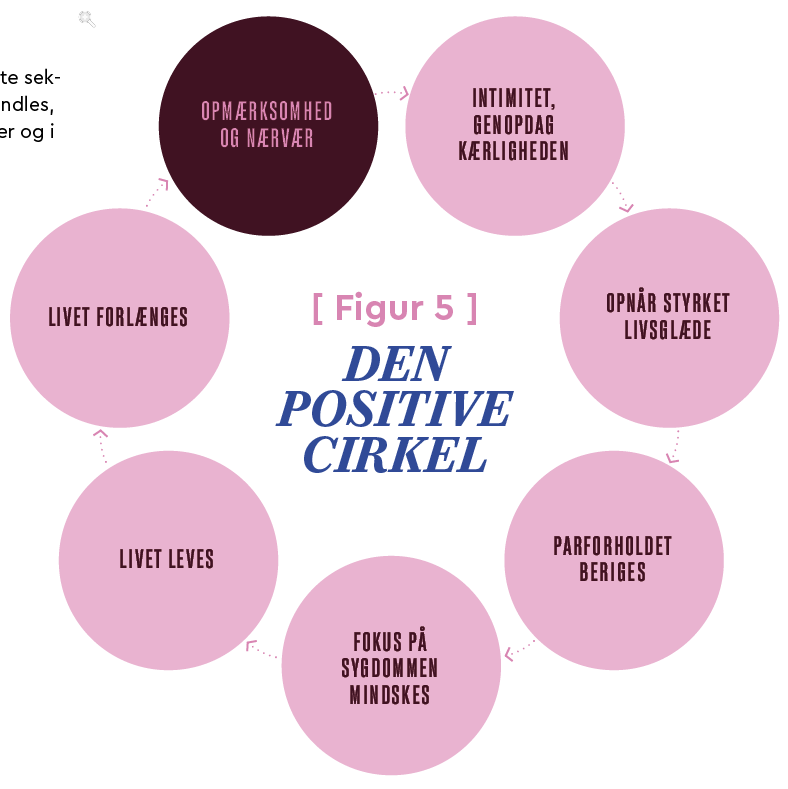 positiv cirkel fig 5