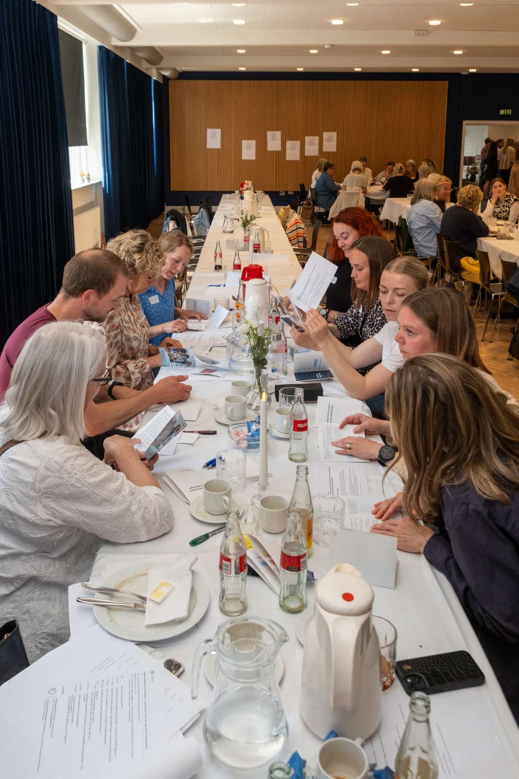 Svangreomsorg niveaudeling Hjørring 13.05 (27).jpg