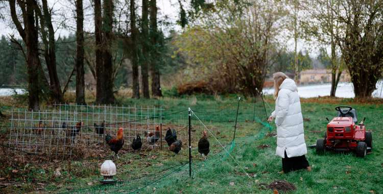 69314032 Anja Hansen arbejder hjemmefra