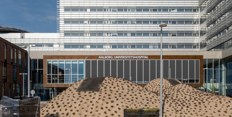 Hospitalsbyen