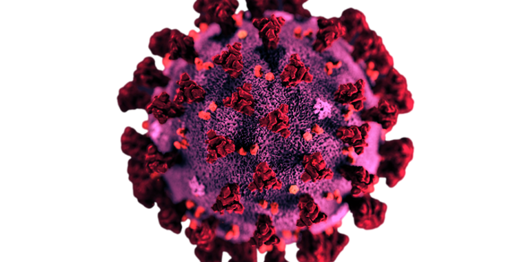 sy6-2021_akt_coronavirus