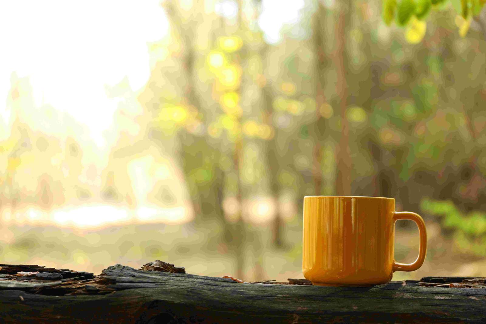 sommerkaffe
