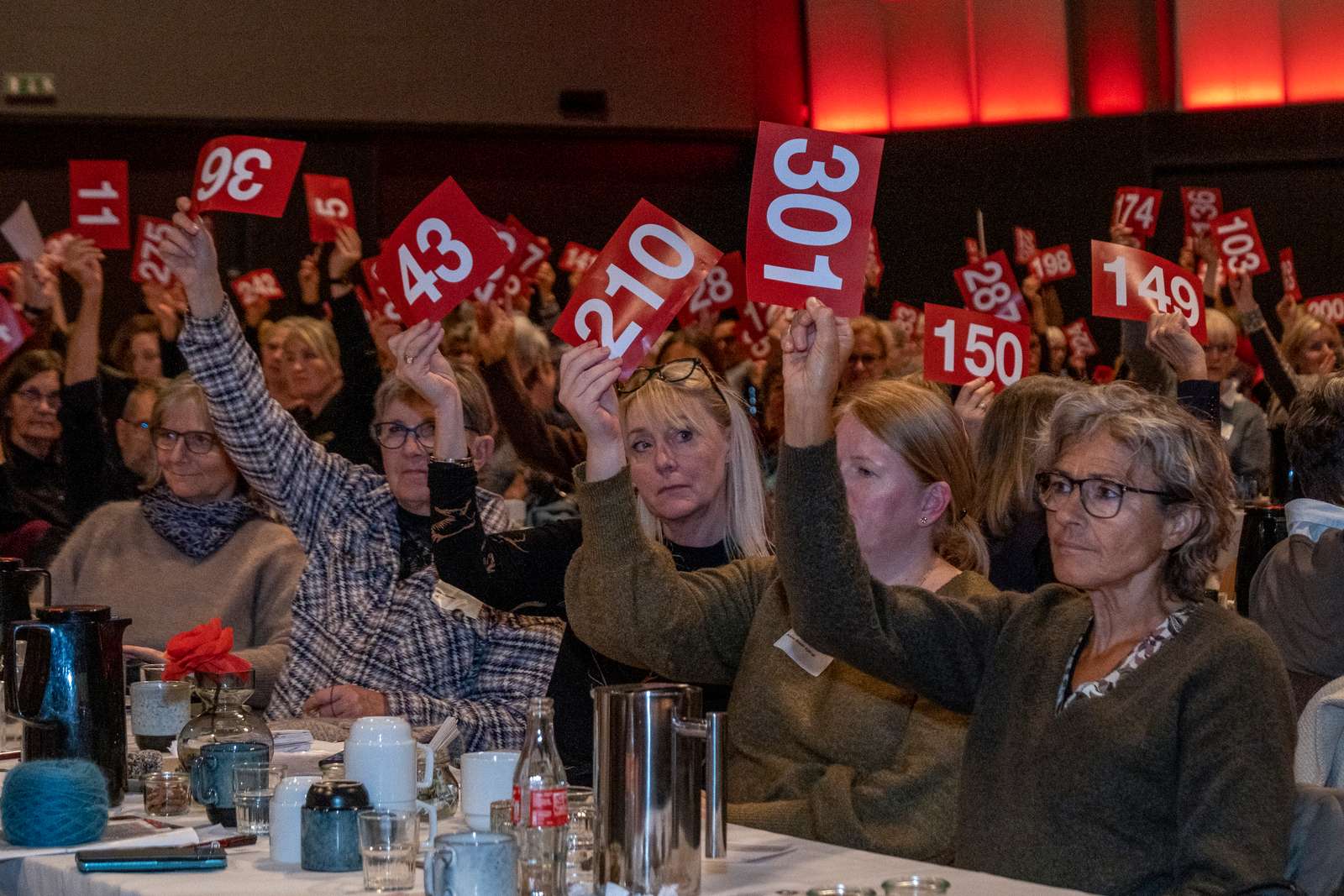 Generalforsamling afstemning 2