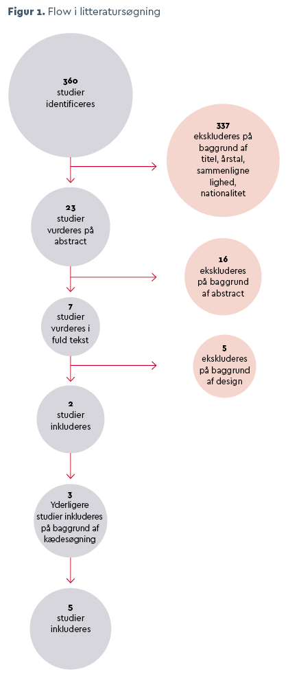 Figur 1: Flow i litteratursøgning
