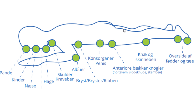 sy1-2021_akt_buglejring