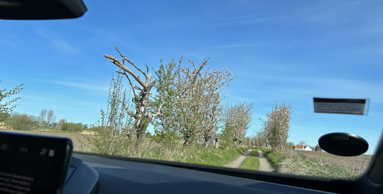 Alene i Vildmarken