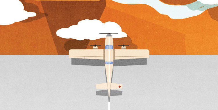 Illustration af fly der letter