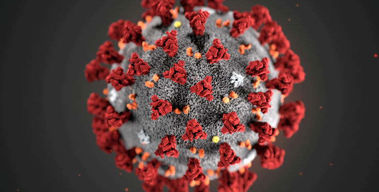 sy2-2021_coronavirus