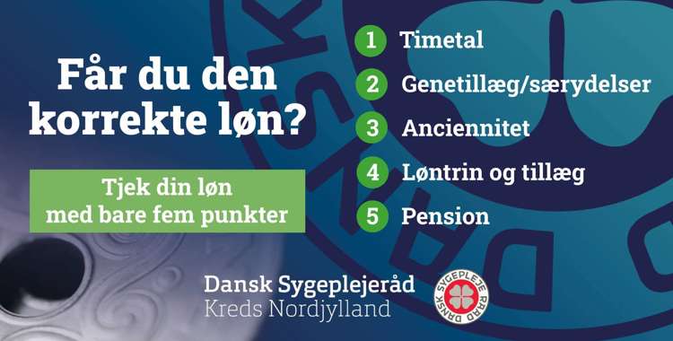 Løntjek grafik høj.png