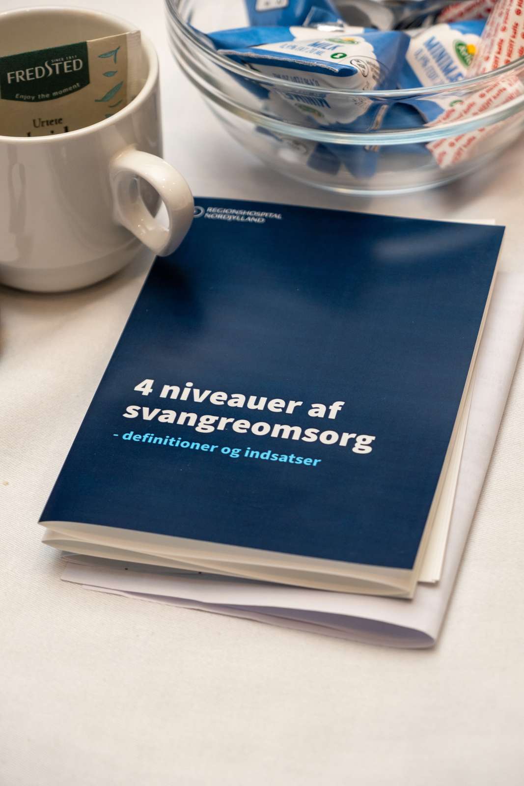 Svangreomsorg niveaudeling Hjørring 13.05 (4).jpg