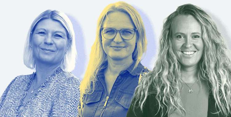 Sundhedsrådsformænd