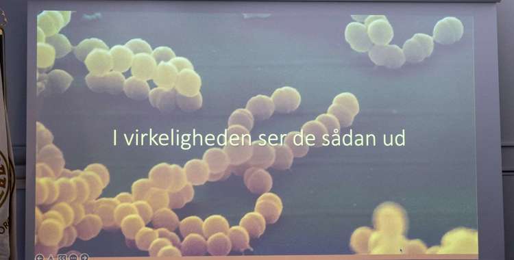 Kødædende bakterier (18).jpg