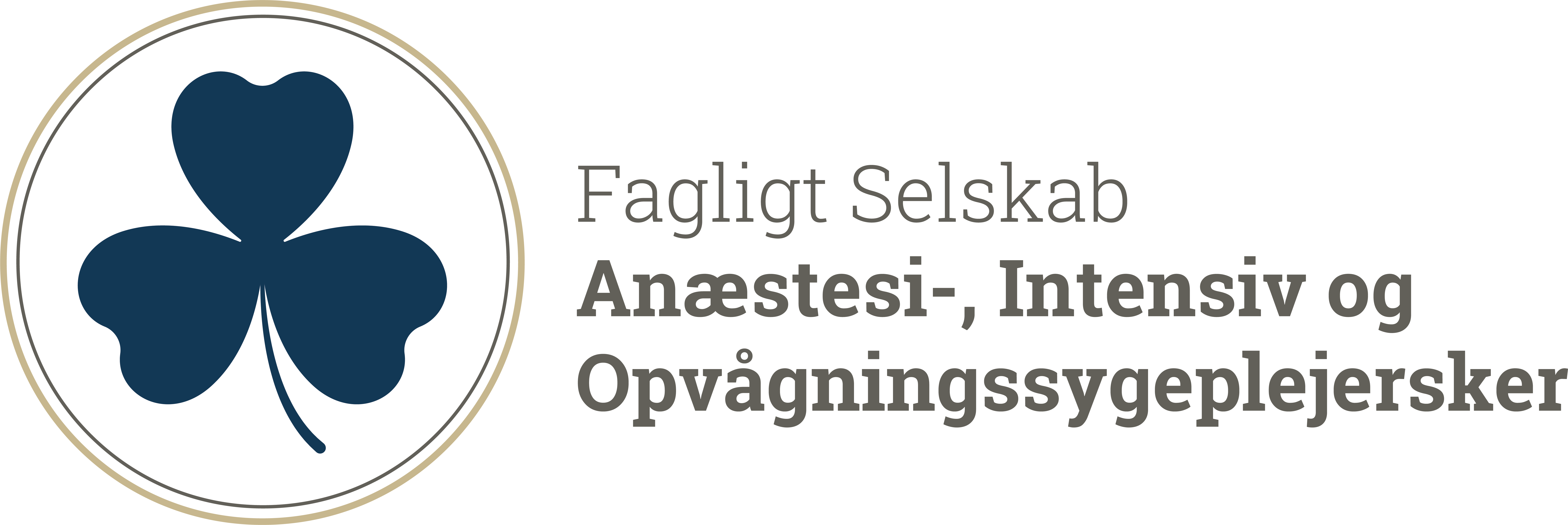 FS AIO Sygeplejersker Logo 3D├ªk