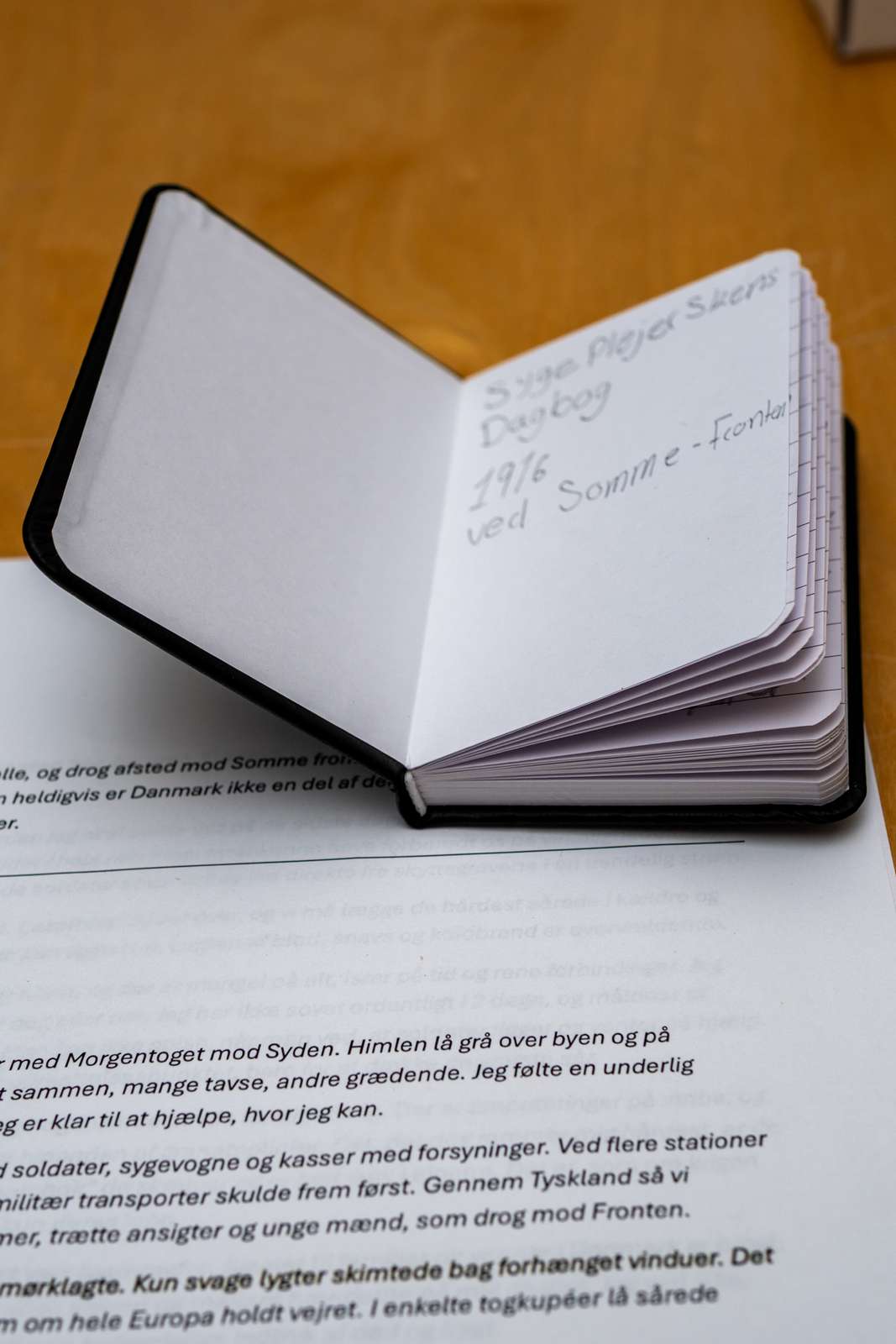 Dagbog - Liv Malou Otte til eksamen 